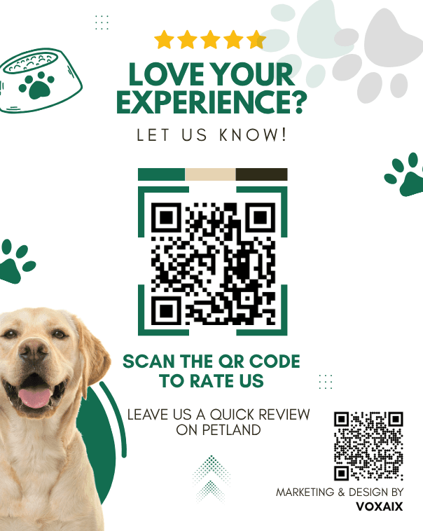 Petland review flyer featuring a yellow Labrador, five stars, and QR codes for customer feedback.